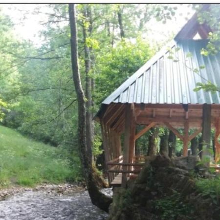 Hotel Eco Camp Dzogaska Vrela Pljevlja Exteriér fotografie