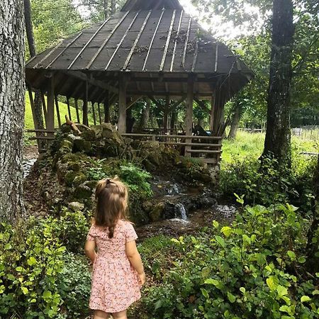 Hotel Eco Camp Dzogaska Vrela Pljevlja Exteriér fotografie