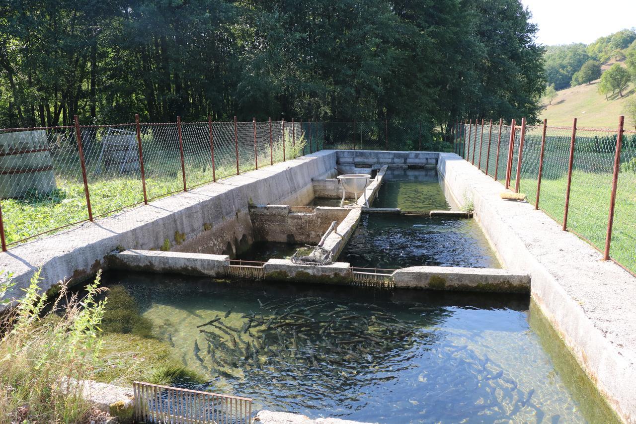 Hotel Eco Camp Dzogaska Vrela Pljevlja Exteriér fotografie