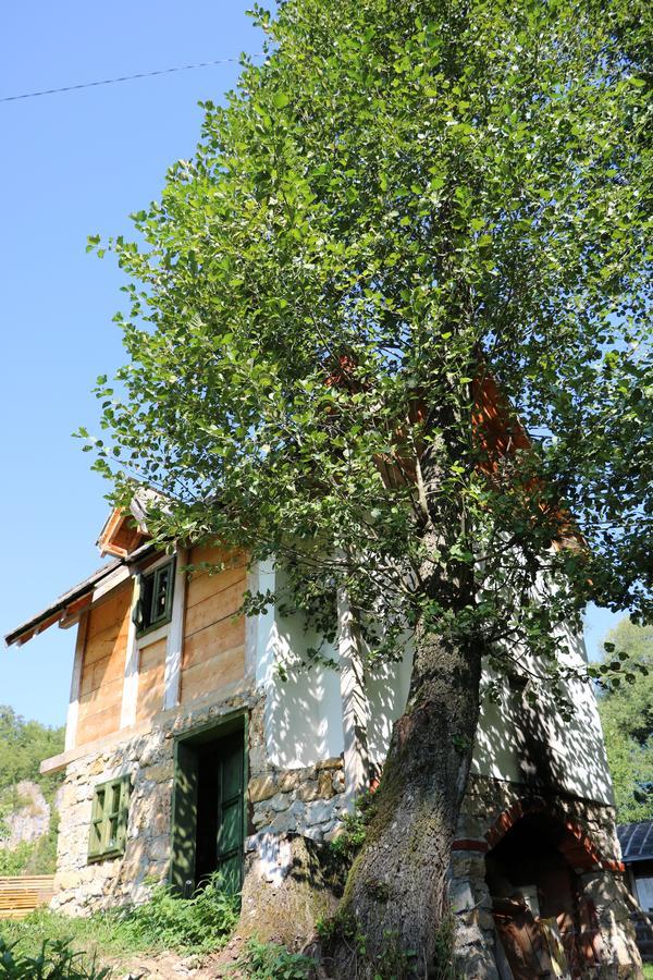 Hotel Eco Camp Dzogaska Vrela Pljevlja Exteriér fotografie