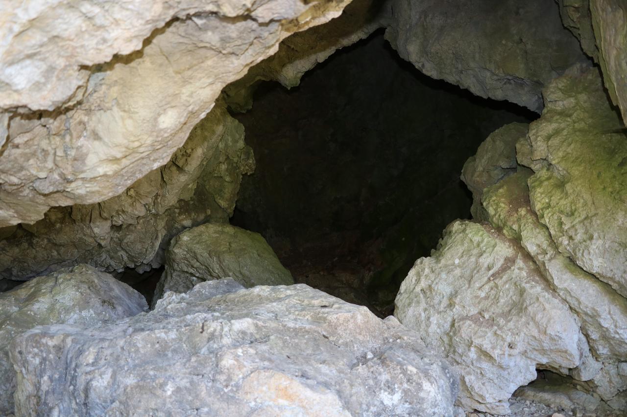 Hotel Eco Camp Dzogaska Vrela Pljevlja Exteriér fotografie