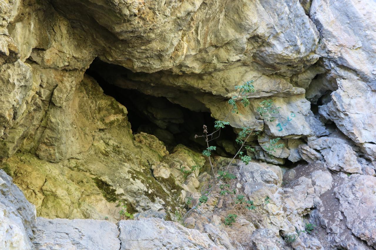 Hotel Eco Camp Dzogaska Vrela Pljevlja Exteriér fotografie