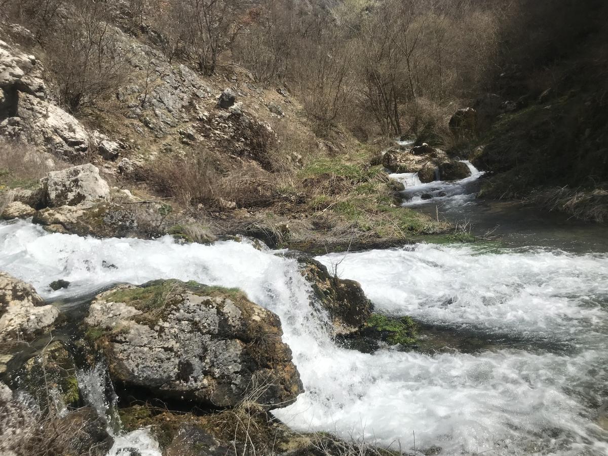 Hotel Eco Camp Dzogaska Vrela Pljevlja Exteriér fotografie