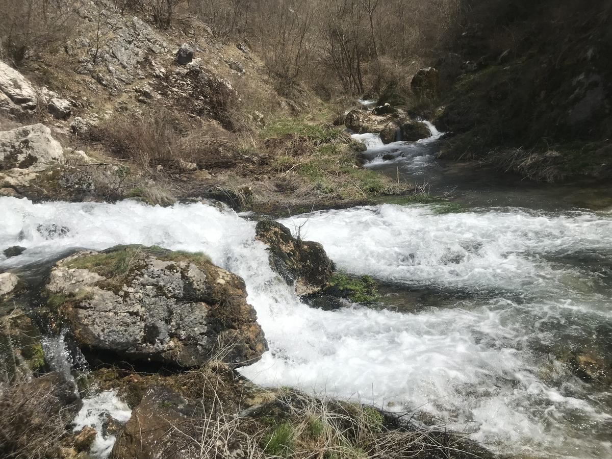 Hotel Eco Camp Dzogaska Vrela Pljevlja Exteriér fotografie