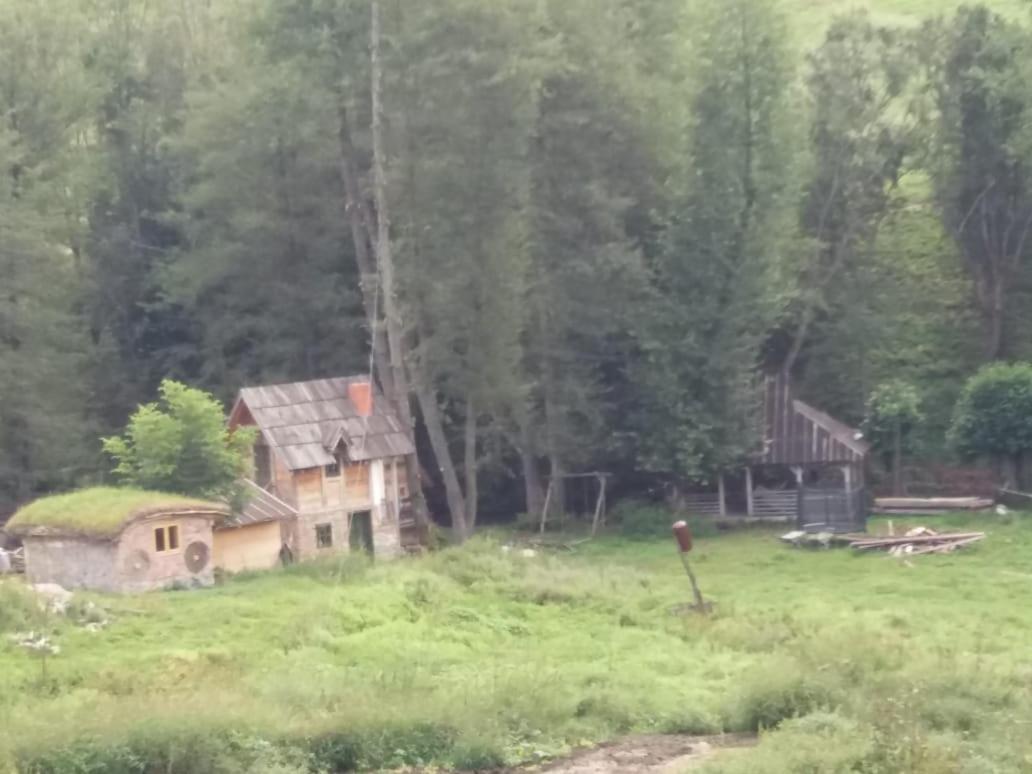 Hotel Eco Camp Dzogaska Vrela Pljevlja Exteriér fotografie